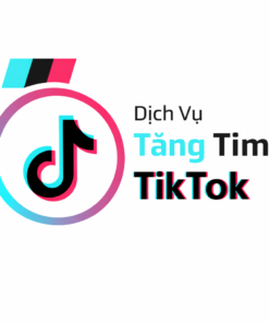 Dịch Vụ Gia Tăng Lượt Thích TikTok – Nâng Cao Hiệu Quả Video Bán Hàng