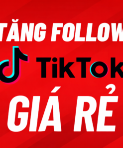 Dịch Vụ Tăng Follow TikTok Chất Lượng – Lên Follow Ổn Định, Mở Giỏ An Toàn