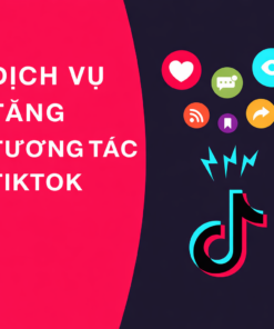 Dịch Vụ Đẩy Follow TikTok Giá Hời – Lên Số Đẹp Nhanh, Hỗ Trợ Kinh Doanh Hiệu Quả