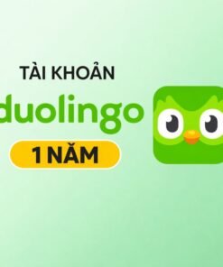 Duolingo Plus – Luyện Ngoại Ngữ Hằng Ngày | Hiệu Quả – Dễ Duy Trì