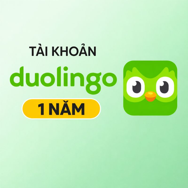 Duolingo Plus – Luyện Ngoại Ngữ Hằng Ngày | Hiệu Quả – Dễ Duy Trì