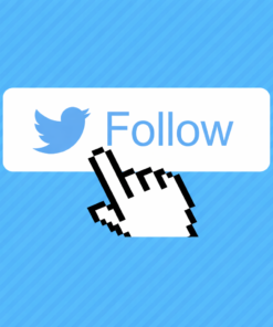 Dịch Vụ Tăng Người Theo Dõi Twitter (X) An Toàn Hiệu Quả