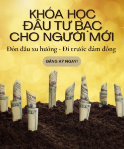 Khóa Học Đầu Tư Bạc Cho Người Mới – Biến Bạc Thành Kênh Đầu Tư Bền Vững Và Thông Minh