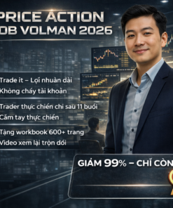 Khóa học Price Action 2026 Mới Nhất – Bob Volman Chuyên Sâu