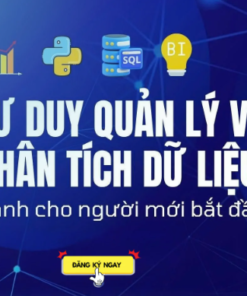 Khóa Học Phân Tích Dữ Liệu Cho Người Mới Bắt Đầu